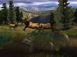 Big Buck Hunter Pro
