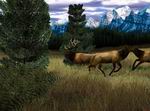 Big Buck Hunter Pro