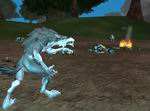 EverQuest: Secrets of Faydwer