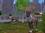 Zoo Tycoon 2: Extinct Animals
