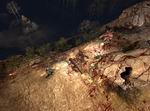 Shadowgrounds Survivor