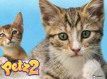 Petz: Catz 2