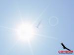 Condor: The Competition Soaring Simulator