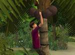 The Sims Castaway Stories