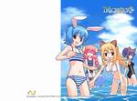 Trickster Online R.e.v.o.l.u.t.i.o.n