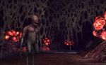 The Lord of the Rings Online: Mines of Moria