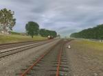 ProTrain Perfect