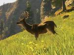Cabela's Big Game Hunter 2008: Trophy Bucks