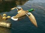 Cabela's Big Game Hunter 2008: Trophy Bucks