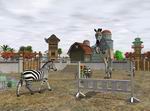 Wildlife Zoo