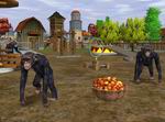 Wildlife Zoo: Deluxe Edition