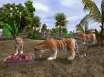 Wildlife Zoo: Deluxe Edition