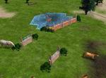 Wildlife Park 2: Horses