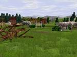 Wildlife Park 2: Horses