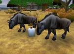 Zoo Tycoon 2: Ultimate Collection