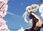 Mabinogi