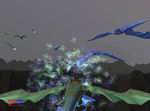Journeys of the Dragon Rider