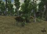 Ground Branch