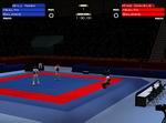 Tae Kwon Do World Champion