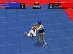 Tae Kwon Do World Champion