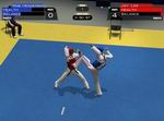 Tae Kwon Do World Champion