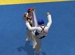 Tae Kwon Do World Champion