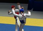 Tae Kwon Do World Champion