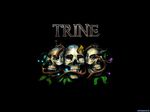 Trine