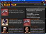 World of Mixed Martial Arts