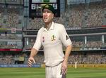 Ashes Cricket 2009