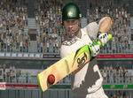 Ashes Cricket 2009