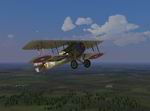 Rise of Flight