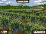Wine Tycoon
