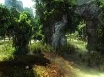 Risen