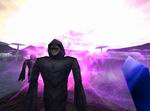Asheron's Call: Throne of Destiny