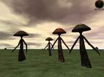 Asheron's Call: Throne of Destiny