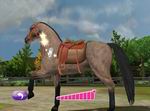 Pony Friends 2