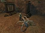 EverQuest 2: Complete Collection