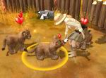 Wildlife Camp: In the Heart of Africa