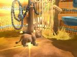 Wildlife Camp: In the Heart of Africa