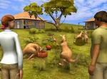 Paws & Claws Pet Vet: Australian Adventures