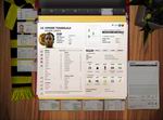 FIFA Manager 11