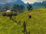 Siege Online