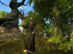 Rift: Planes of Telara
