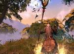 Rift: Planes of Telara