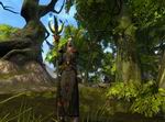 Rift: Planes of Telara