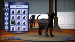 The Sims 3: Pets