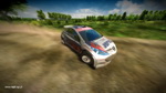 Rally Poland
