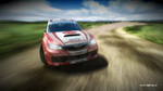 Rally Poland