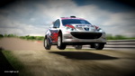 Rally Poland